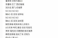 越南小姐姐中文歌曲歌词,跨越国界的浪漫旋律