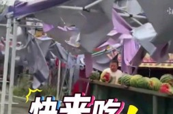 西瓜被冰雹砸烂老板喊人吃瓜吃瓜56网免费视频